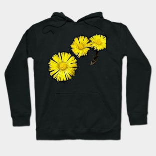 Spring flowers Hoodie